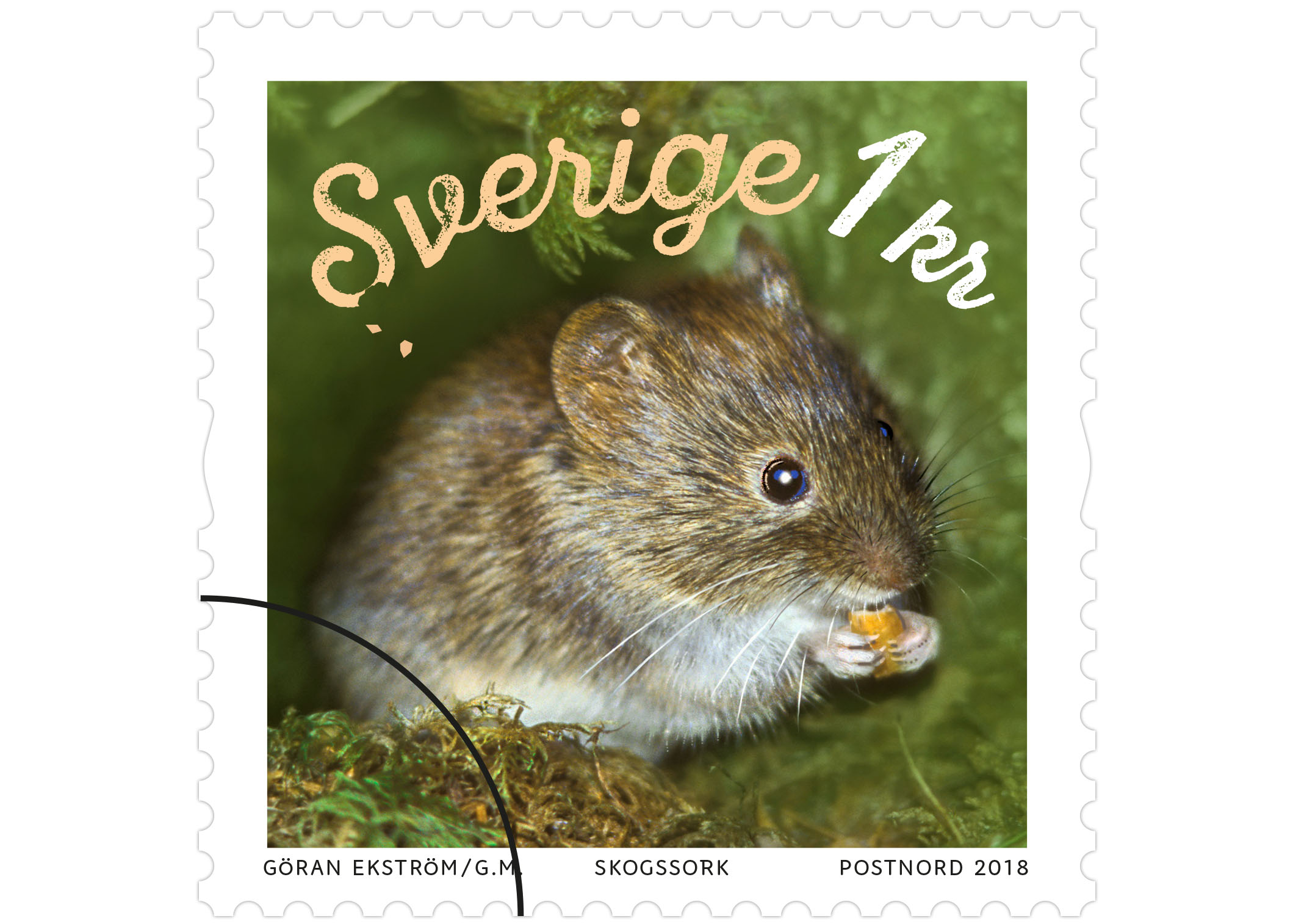 Rullfrimärke med motiv av en skogssork.