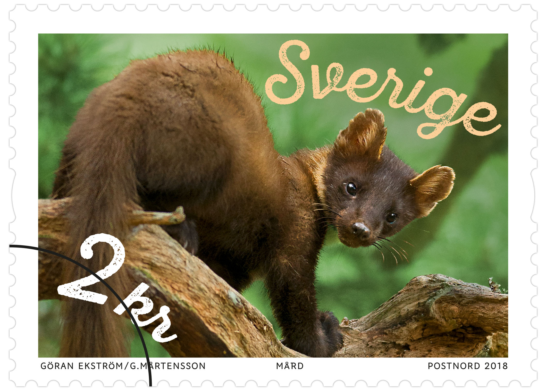 Rullfrimärke med motiv av en mård.